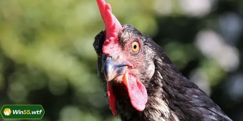 Bật mí các loại hình dễ tham gia cho người mới