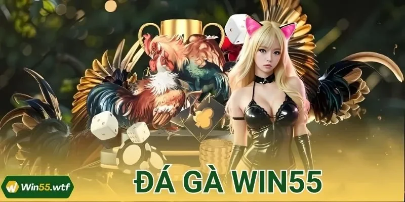 Đá Gà WIN55 - Trải Nghiệm Kịch Tính Từng Cú Vung Cựa
