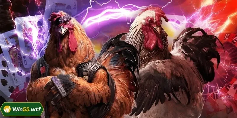 Đá Gà Cựa Sắt WIN55: Võ Đài Của Sự Tốc Độ Và Máu Lửa